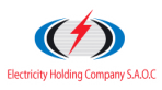 Electricity Holding Company